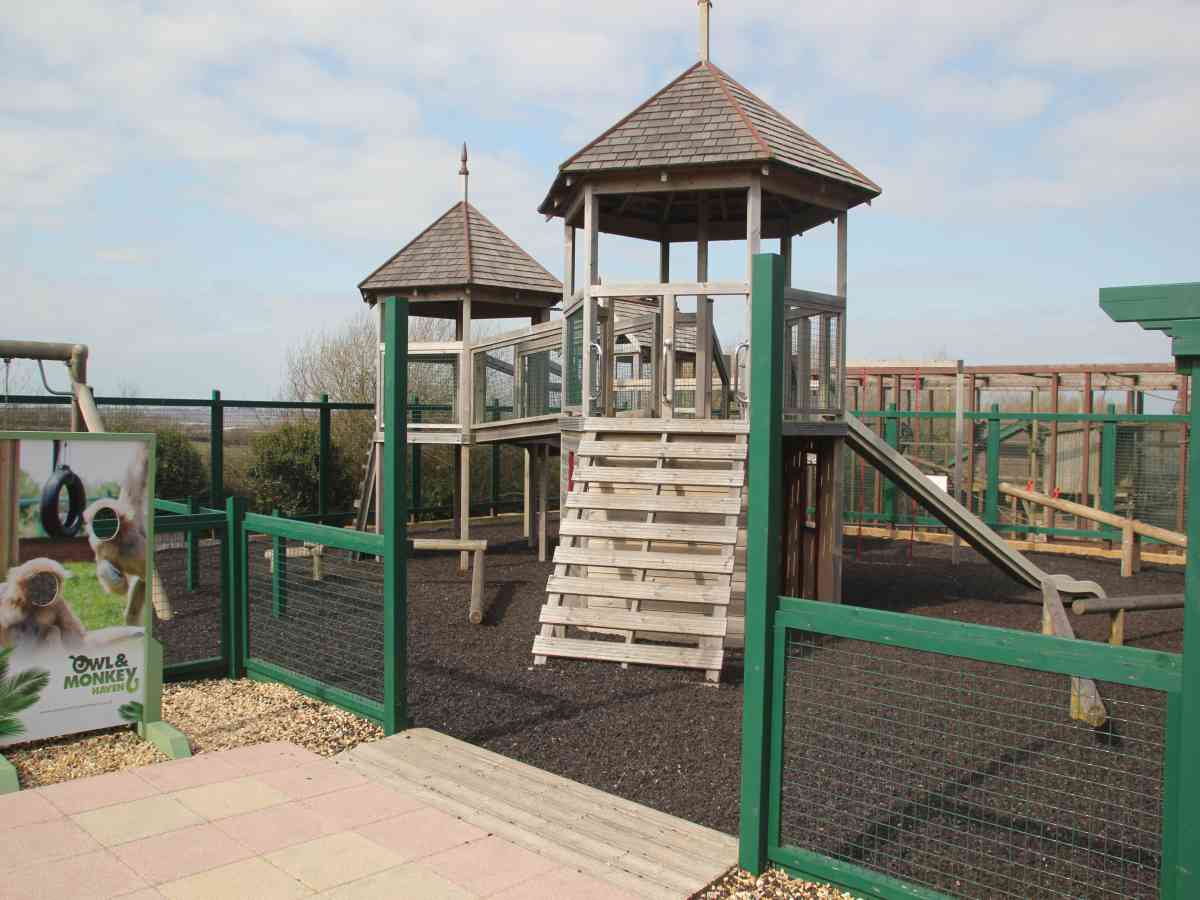 Monkey Haven picture gallery